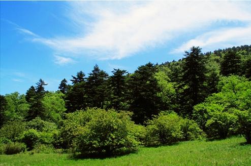 邢臺(tái)沙河市綜合職教中心現(xiàn)代林業(yè)技術(shù)怎么樣？